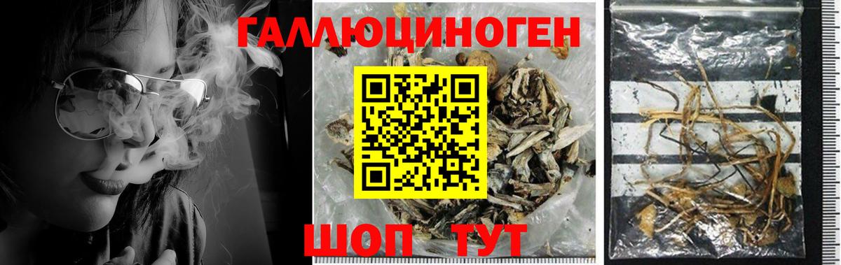 Галлюциногенные грибы мицелий  Вход с VPN  Ахтубинск 